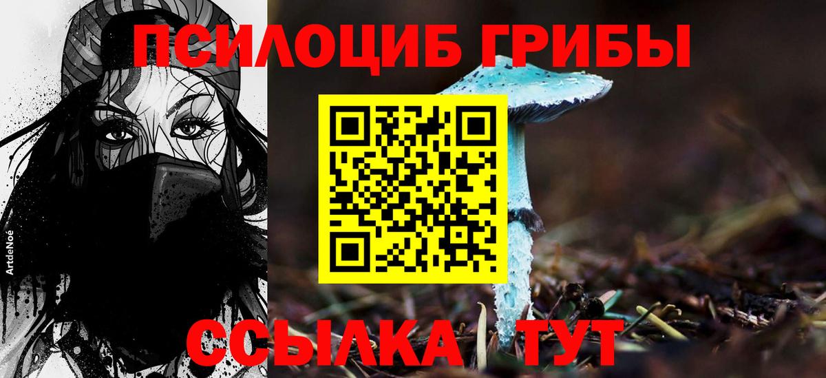 Псилоцибиновые грибы Cubensis  Галлюциногенные грибы ЛСД  Вход с VPN  Карпинск 