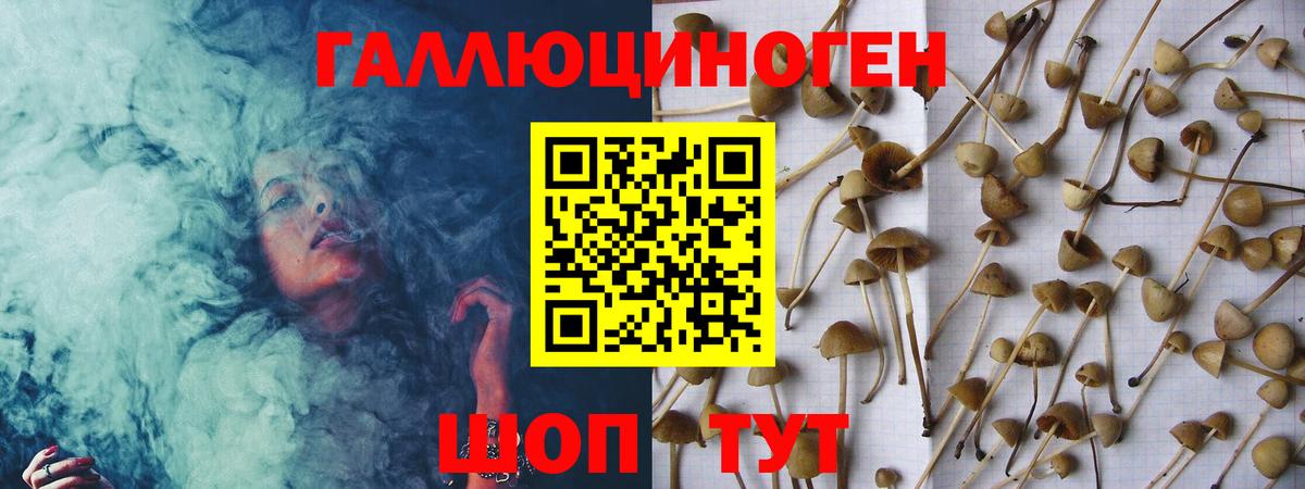 Галлюциногенные грибы GOLDEN TEACHER Карпинск